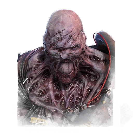 The Nemesis